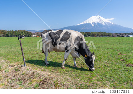 富士山 朝霧高原 富士山 朝霧高原 138157831