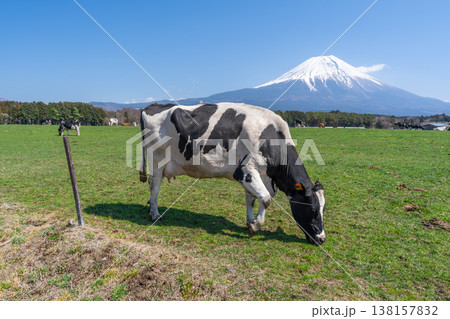富士山　朝霧高原 138157832