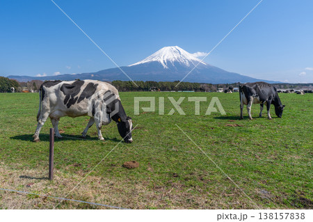 富士山　朝霧高原 138157838