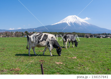 富士山 朝霧高原 富士山 朝霧高原 138157841