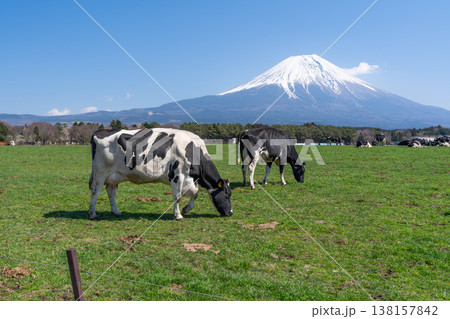 富士山 朝霧高原 富士山 朝霧高原 138157842