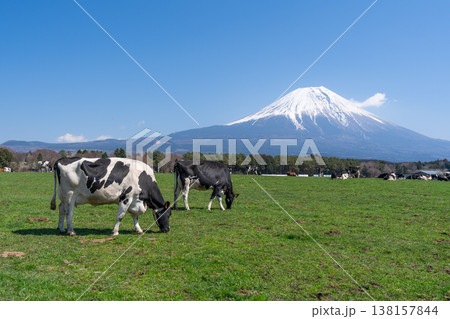 富士山　朝霧高原 138157844
