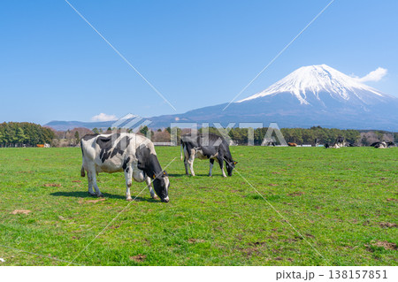 富士山　朝霧高原 138157851