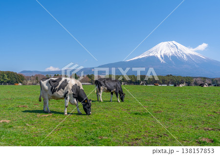 富士山　朝霧高原 138157853