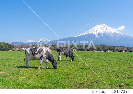 富士山 朝霧高原 富士山 朝霧高原 138157855
