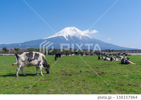 富士山 朝霧高原 富士山 朝霧高原 138157864