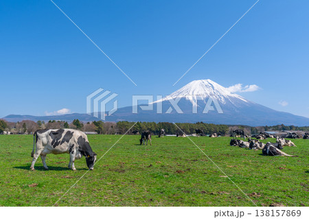 富士山 朝霧高原 富士山 朝霧高原 138157869