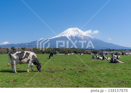 富士山 朝霧高原 富士山 朝霧高原 138157870