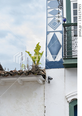 Plants growing on a colonial tiled roof with security camera 138157955