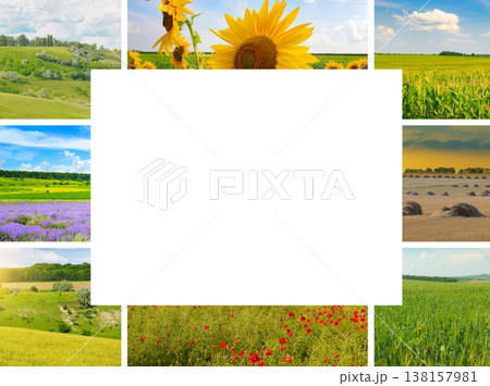 Scenic nature collage of diverse agricultural landscapes and flowering fields with sunflowers, lavender, wheat, and poppies under a bright blue sky, beautiful countryside collection. Scenic nature collage of diverse agricultural landscapes and flowering fields with sunflowers, lavender, wheat, and poppies under a bright blue sky, beautiful countryside collection. 138157981