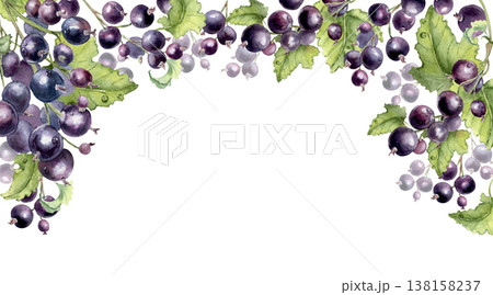 Black currant watercolor border isolated on white. Fresh organic berries and green leaves frame for greeting card, menu or recipe design. Natural berry background hand painted with empty space. Black currant watercolor border isolated on white. Fresh organic berries and green leaves frame for greeting card, menu or recipe design. Natural berry background hand painted with empty space. 138158237