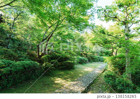京都 善法律寺の新緑 京都 善法律寺の新緑 138158265