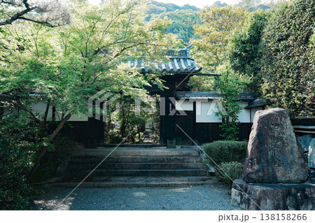 京都 善法律寺の新緑 京都 善法律寺の新緑 138158266