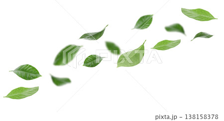 Leaves drift softly, crafting a lively, dynamic scene, PNG 138158378
