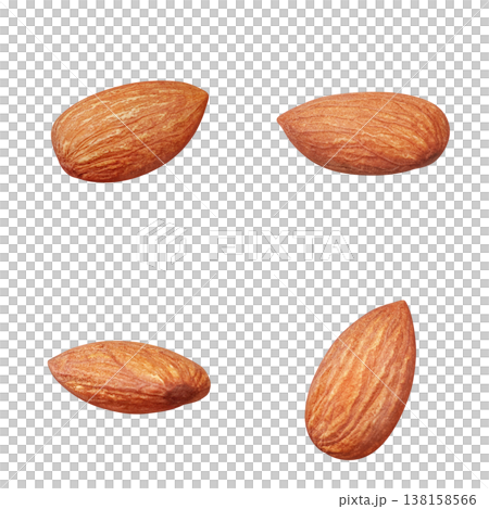 Realistic illustration of an almond 138158566