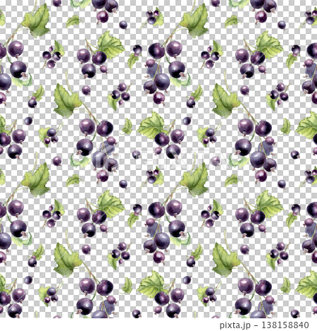 Black currant watercolor seamless pattern isolated on white. Hand drawn berry fruits design for fabric, textile, wallpaper, printing. Botanical ripe background for healthy food or nature concept. Black currant watercolor seamless pattern isolated on white. Hand drawn berry fruits design for fabric, textile, wallpaper, printing. Botanical ripe background for healthy food or nature concept. 138158840