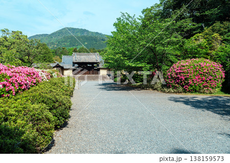 京都 随心院 京都 随心院 138159573
