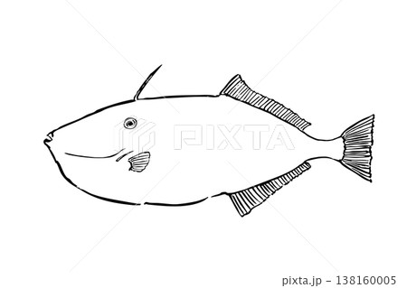 ウスバハギの図鑑風イラスト 海水魚 ベクター 筆ペン線画 横向き 教育素材 ウスバハギの図鑑風イラスト 海水魚 ベクター 筆ペン線画 横向き 教育素材 138160005
