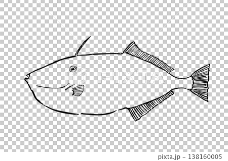 ウスバハギの図鑑風イラスト 海水魚 ベクター 筆ペン線画 横向き 教育素材 ウスバハギの図鑑風イラスト 海水魚 ベクター 筆ペン線画 横向き 教育素材 138160005