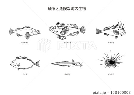 海の危険生物セット 魚とウニ 毒魚 ベクター 筆ペン線画 イラスト 海の危険生物セット 魚とウニ 毒魚 ベクター 筆ペン線画 イラスト 138160008