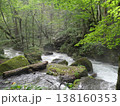 初秋の奥入瀬渓流と豊かな森の清流（青森県十和田市） 138160353