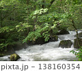初秋の奥入瀬渓流と豊かな森の清流（青森県十和田市） 138160354