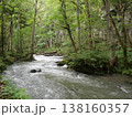 初秋の奥入瀬渓流と豊かな森の清流（青森県十和田市） 138160357