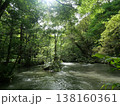 初秋の奥入瀬渓流と豊かな森の清流（青森県十和田市） 138160361