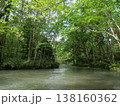 初秋の奥入瀬渓流と豊かな森の清流（青森県十和田市） 138160362
