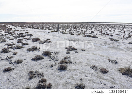 Salty soil in a dry lagoon, in the south of the province of La Pampa, Patagonia, Argentina. Salty soil in a dry lagoon, in the south of the province of La Pampa, Patagonia, Argentina. 138160414