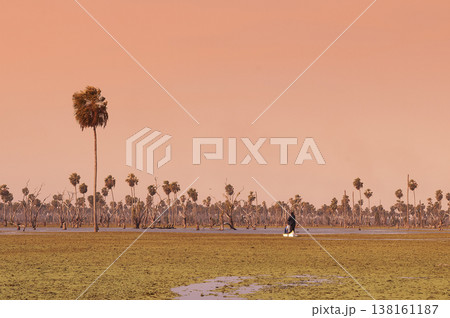 Tourists observing nature in La Estrella Marsh, Formosa province, Argentina. Tourists observing nature in La Estrella Marsh, Formosa province, Argentina. 138161187