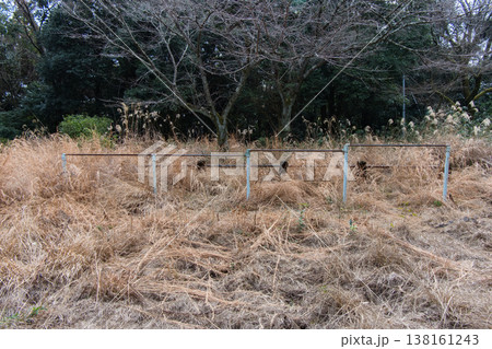 枯れた雑草に囲まれた鉄棒、荒涼とした遊具の風景 枯れた雑草に囲まれた鉄棒、荒涼とした遊具の風景 138161243