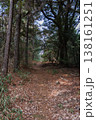 落ち葉に覆われた山の小道、静かな秋の森の道 138161251