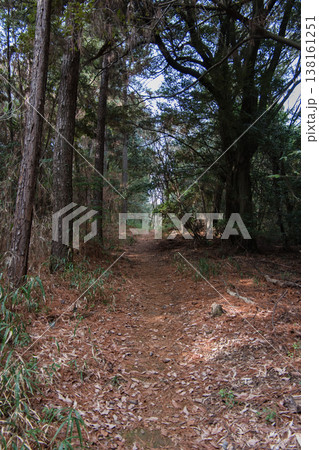 落ち葉に覆われた山の小道、静かな秋の森の道 落ち葉に覆われた山の小道、静かな秋の森の道 138161251