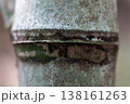 竹の節目のクローズアップ、自然の構造と質感 138161263