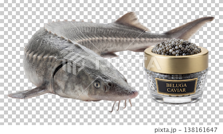 Fresh beluga sturgeon lies next to a crystal jar with a metal lid. The jar is filled with glossy caviar in steel grey to black shades. Caviar is known for its rich taste. 138161647