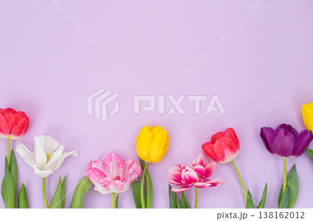 Colorful spring tulips on pastel purple background 138162012
