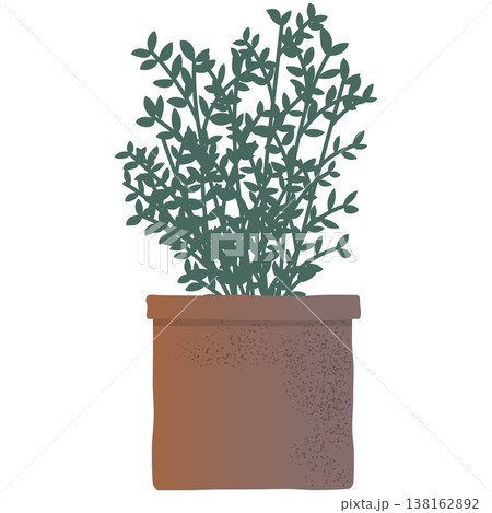 植木鉢に植えた観葉植物のイラスト　ベクター　アイコン　グリーン　葉　白背景　コピースペース　手描き 138162892