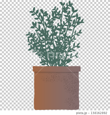 植木鉢に植えた観葉植物のイラスト　ベクター　アイコン　グリーン　葉　白背景　コピースペース　手描き 138162892