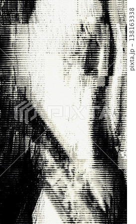 Black and White Glitch Texture with Scanline Interference 138163338