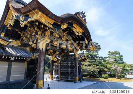 京都の春の二条城 唐門と桜 138166018