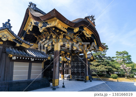 京都の春の二条城 唐門と桜 138166019