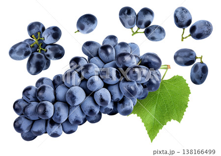 dark blue grape berry bunch isolated on white background 138166499