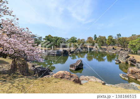 京都の春の二条城 二の丸庭園と桜 京都の春の二条城 二の丸庭園と桜 138166515