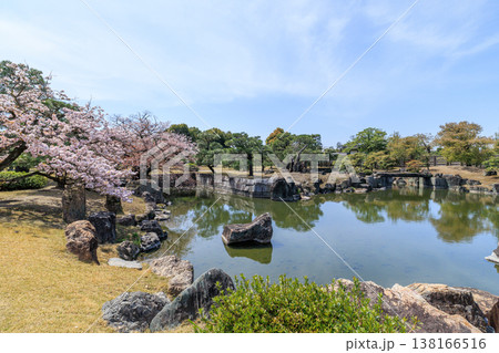 京都の春の二条城　二の丸庭園と桜 138166516