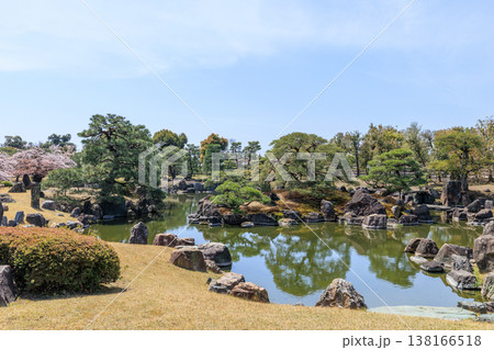 京都の春の二条城　二の丸庭園と桜 138166518