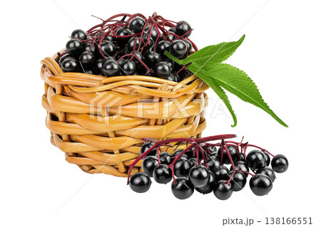 Ripe black elderberry or elder with green leaves in a wicker basket isolated on a white background. Sambucus Ripe black elderberry or elder with green leaves in a wicker basket isolated on a white background. Sambucus 138166551