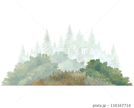 Watercolor forest composition with bushes and misty pine trees, soft atmospheric woodland scene. Hand painted illustration isolated on white, ideal for backgrounds, prints, banners and nature design Watercolor forest composition with bushes and misty pine trees, soft atmospheric woodland scene. Hand painted illustration isolated on white, ideal for backgrounds, prints, banners and nature design 138167718