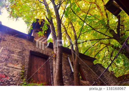 タリン旧市街で見上げる中世の家と木漏れ日 138168067