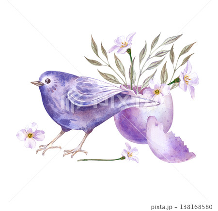 A spring composition with a songbird, a broken egg with branches and white flowers. Watercolor illustration in lilac tones on an isolated background. Festive drawing for Easter holiday decoration 138168580